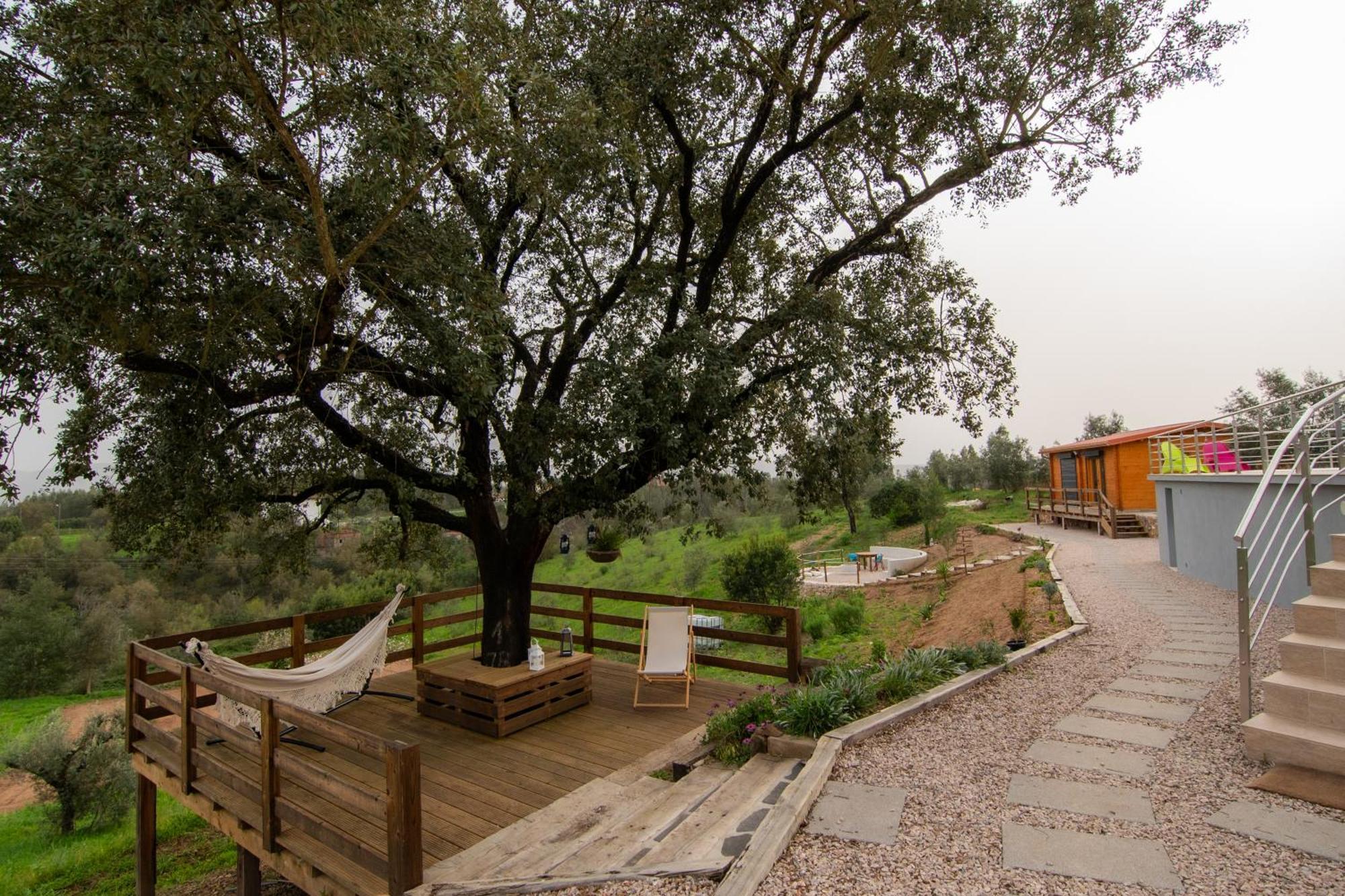 Quinta Do Esteval Penacova Exterior photo